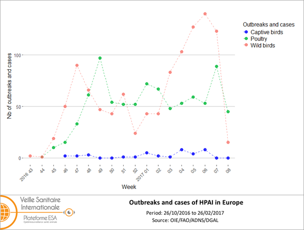 Number of outbreaks and cases of HPAI in Europe