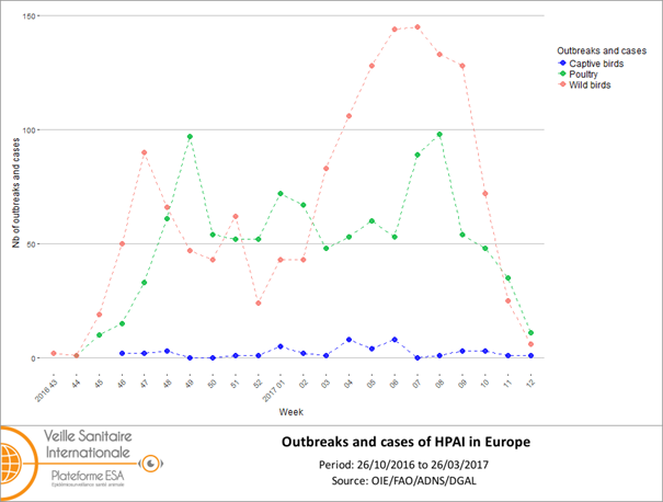 Number of outbreaks and cases of HPAI viruses