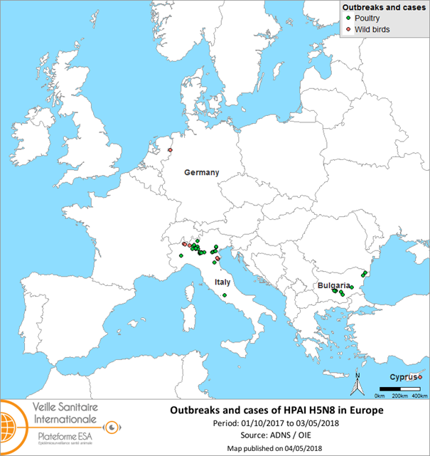 Figure 2: Map of HPAI H5N8 outbreaks and cases notified in Europe