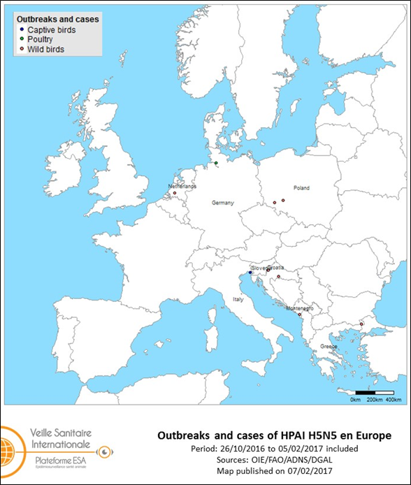Map of outbreaks and cases of HPAI H5N5 reported in Europe