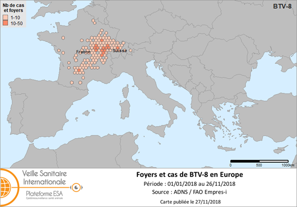 Figure 3. Foyers de FCO sérotype 8 déclarés en Europe en 2018 