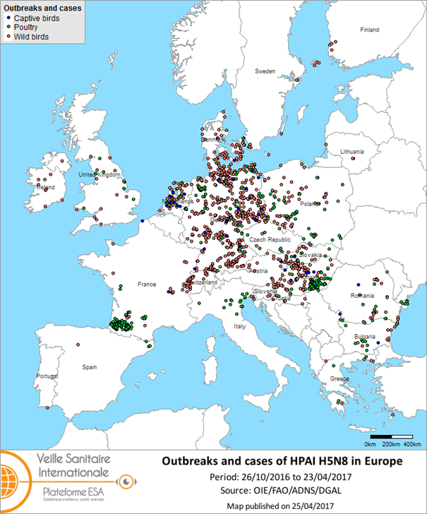 Figure 3 Map of outbreaks and cases of HPAI H5N8 reported in the European Union and Switzerland