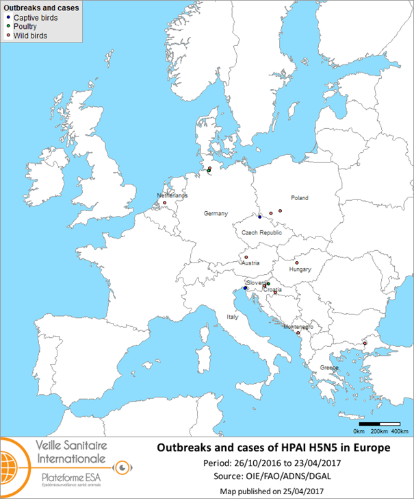 Figure 4 Map of outbreaks and cases of HPAI H5N5 reported in Europe