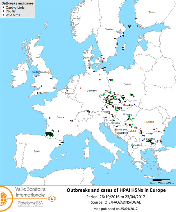 Figure 6 Map of outbreaks and cases of HPAI H5Nx reported in Europe