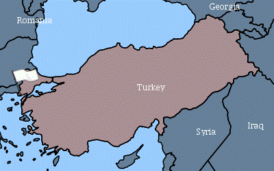 Figure  Localisation du foyer occidental de DNCB déclaré par la Turquie