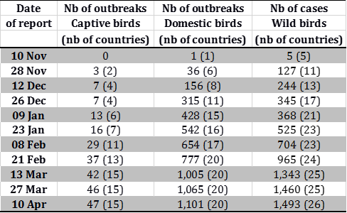 Table 1 Evolution of number of outbreaks and cases of HPAI viruses