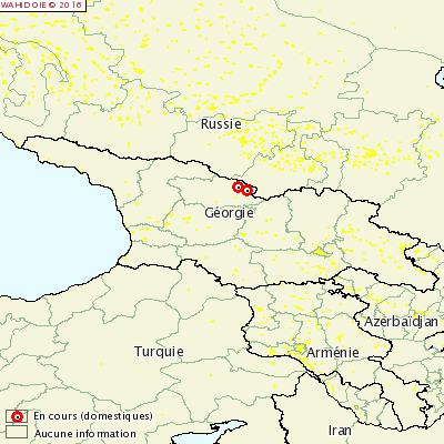 Figure 1 Localisation des foyers de DNCB en Géorgie déclarés les 1er et 3 novembre 2016