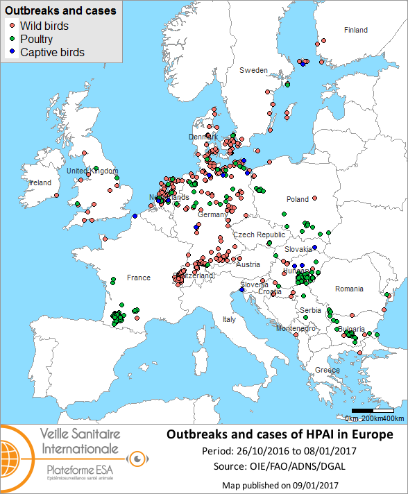 Figure 1 Outbreaks and cases of HPAI reported in the European Union and Switzerland