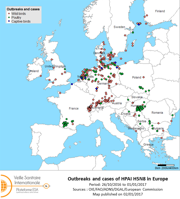 Figure 1 Outbreaks and cases of HPAI H5N8 reported in the European Union and Switzerland