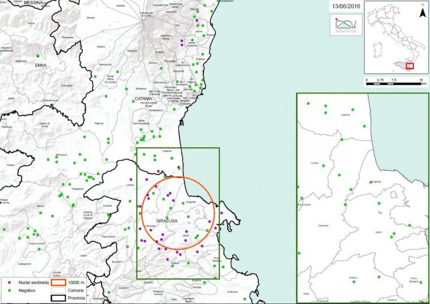 Carte 2 Localisation des foyers d'infestation par A. tumida en Sicile 
