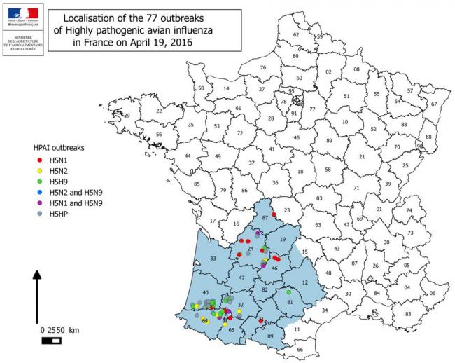 Figure 2 Répartition géographique des foyers confirmés d’influenza aviaire H5 HP