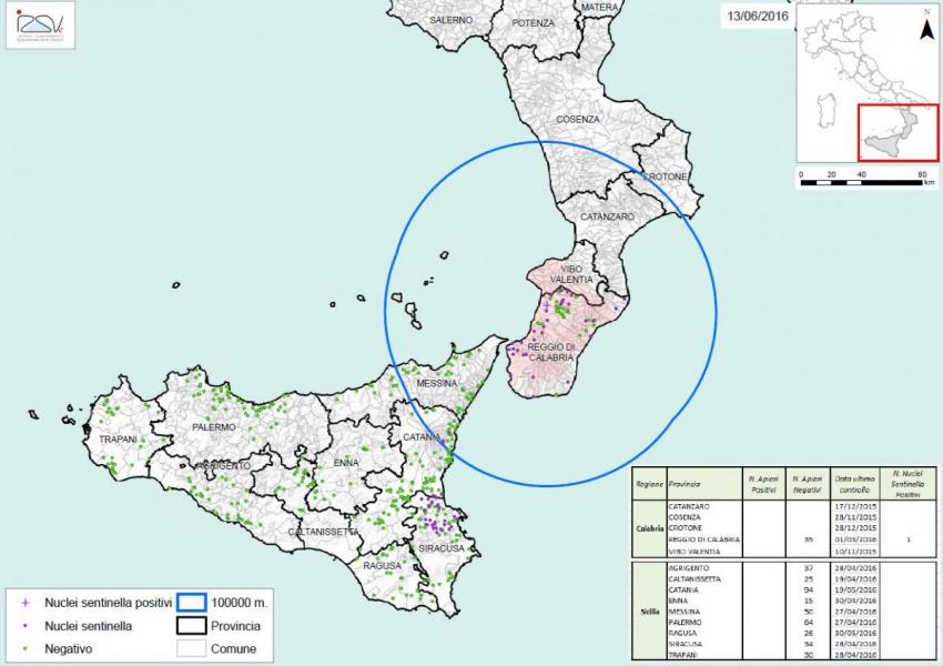 Carte 3 Zones de surveillance d'A. tumida en Italie