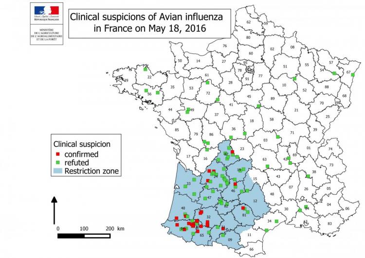 Figure 3 Suspicions cliniques déclarées en France