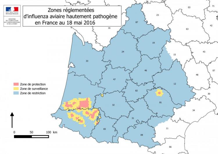 Figure 4 Zones réglementées d'IAHP  en France
