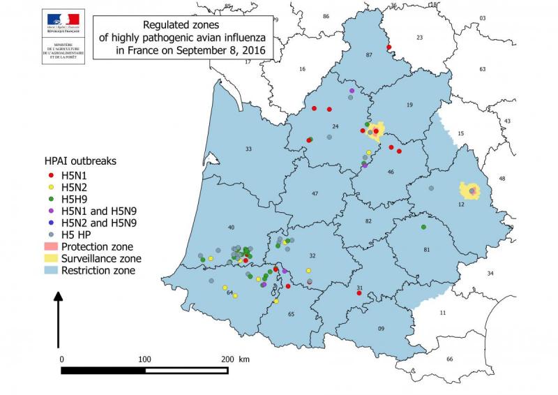 Figure 6 Foyers d'influenza aviaire hautement pathogènes déclarés en France depuis le mois de novembre 2015