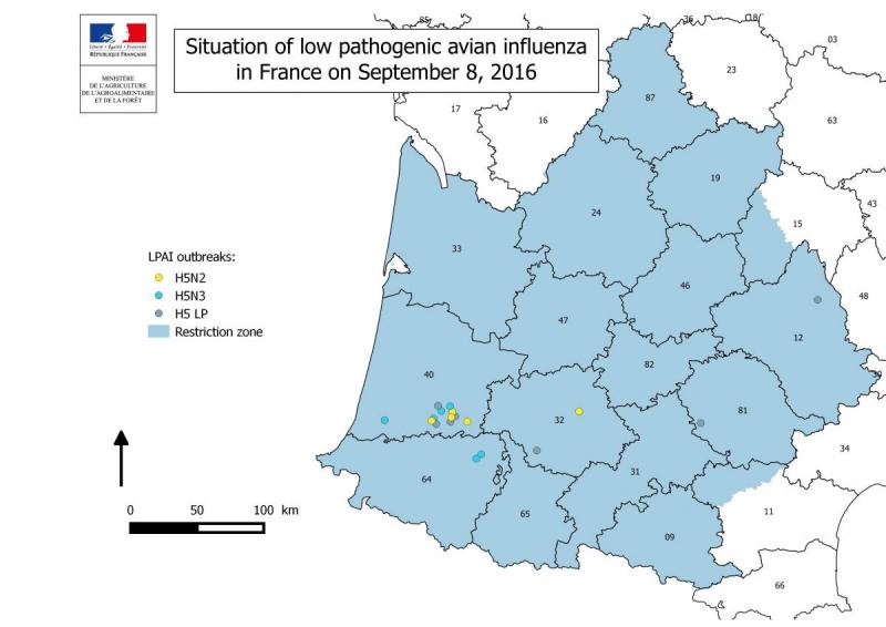 Figure 7 Foyers d'influenza aviaire faiblement pathogènes déclarés en France depuis le mois de novembre 2015