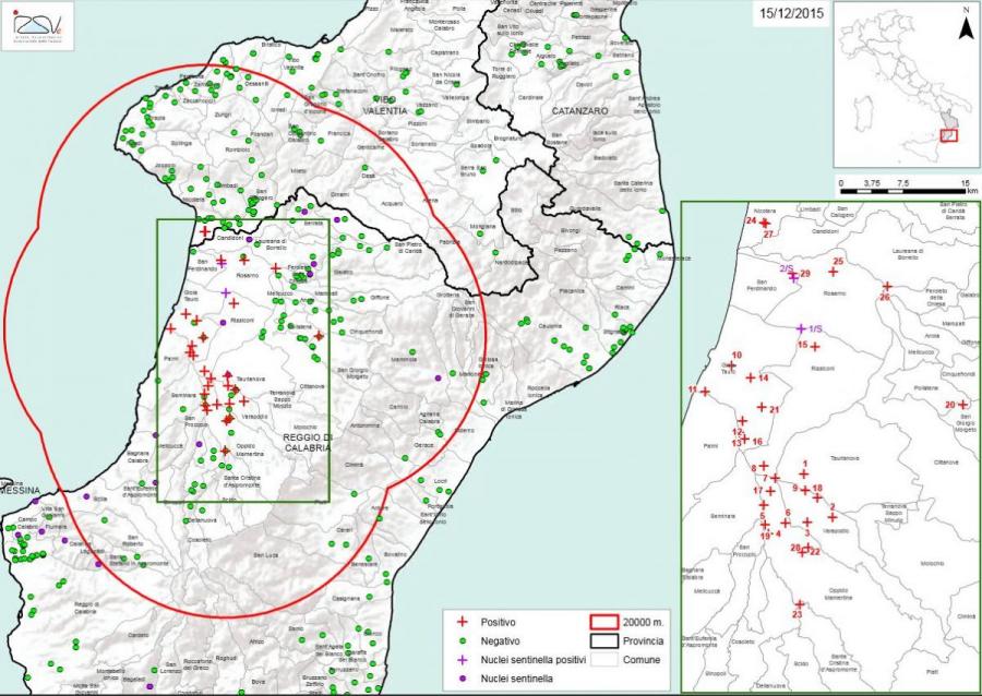 Carte 1 Localisation des foyers d'infestation par A. tumida en Calabre