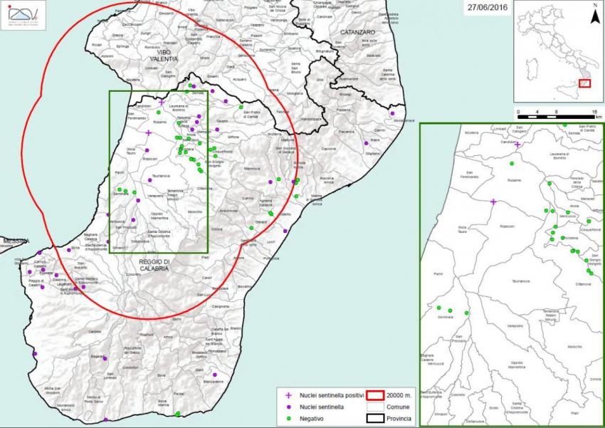 Carte 1 Localisation des foyers d'infestation par A. tumida en Calabre
