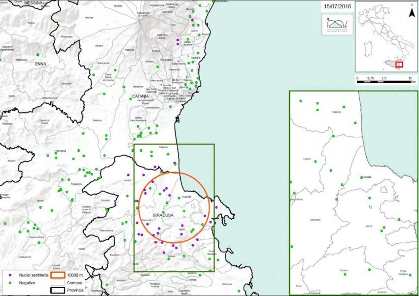 Carte 2 : Localisation des foyers d'infestation par A. tumida en Sicile