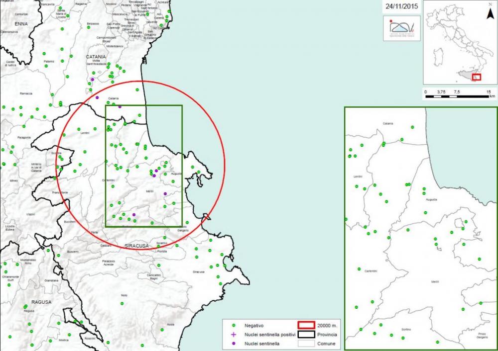 Carte 2 Localisation des foyers d'infestation par A. tumida en Sicile 