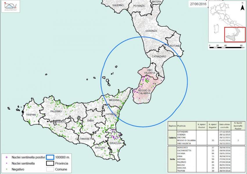 Carte 3 : Zones de surveillance d'A. tumida en Italie