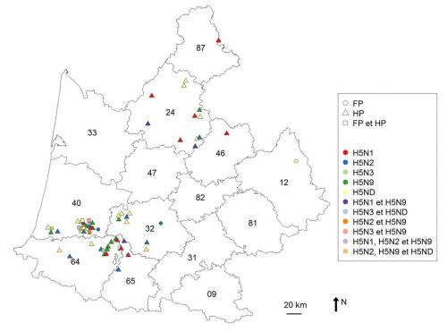 Figure 1 Répartition géographique des foyers confirmés d’Influenza aviaire FP et HP par sous-type