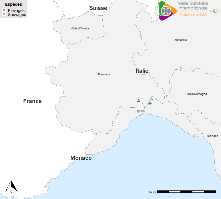 Figure 1. Localisation des cas de peste porcine africaine détectés en Italie dans le Piémont et en Ligurie