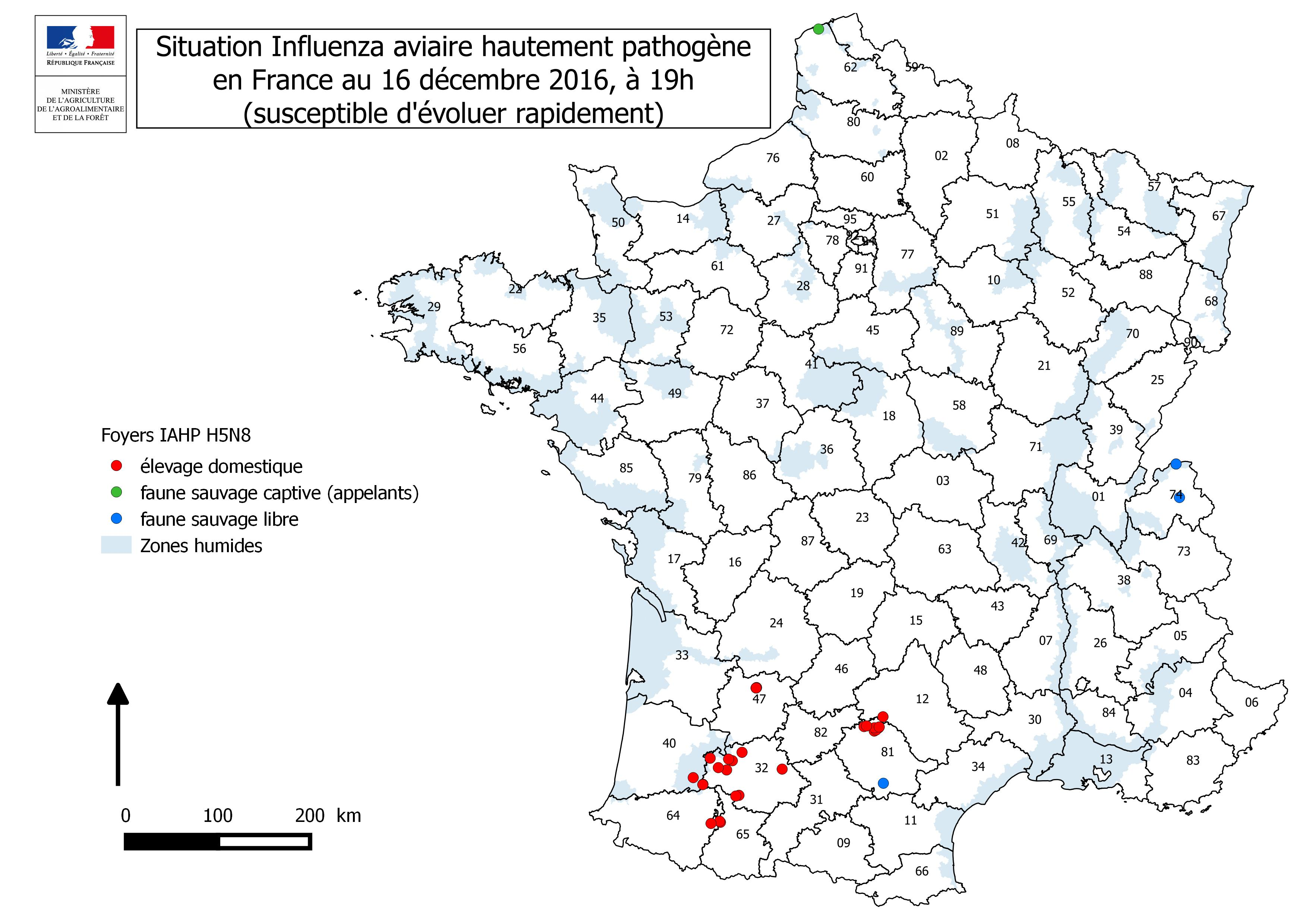 Figure 1 Carte représentant les foyers IAHP déclarés en France