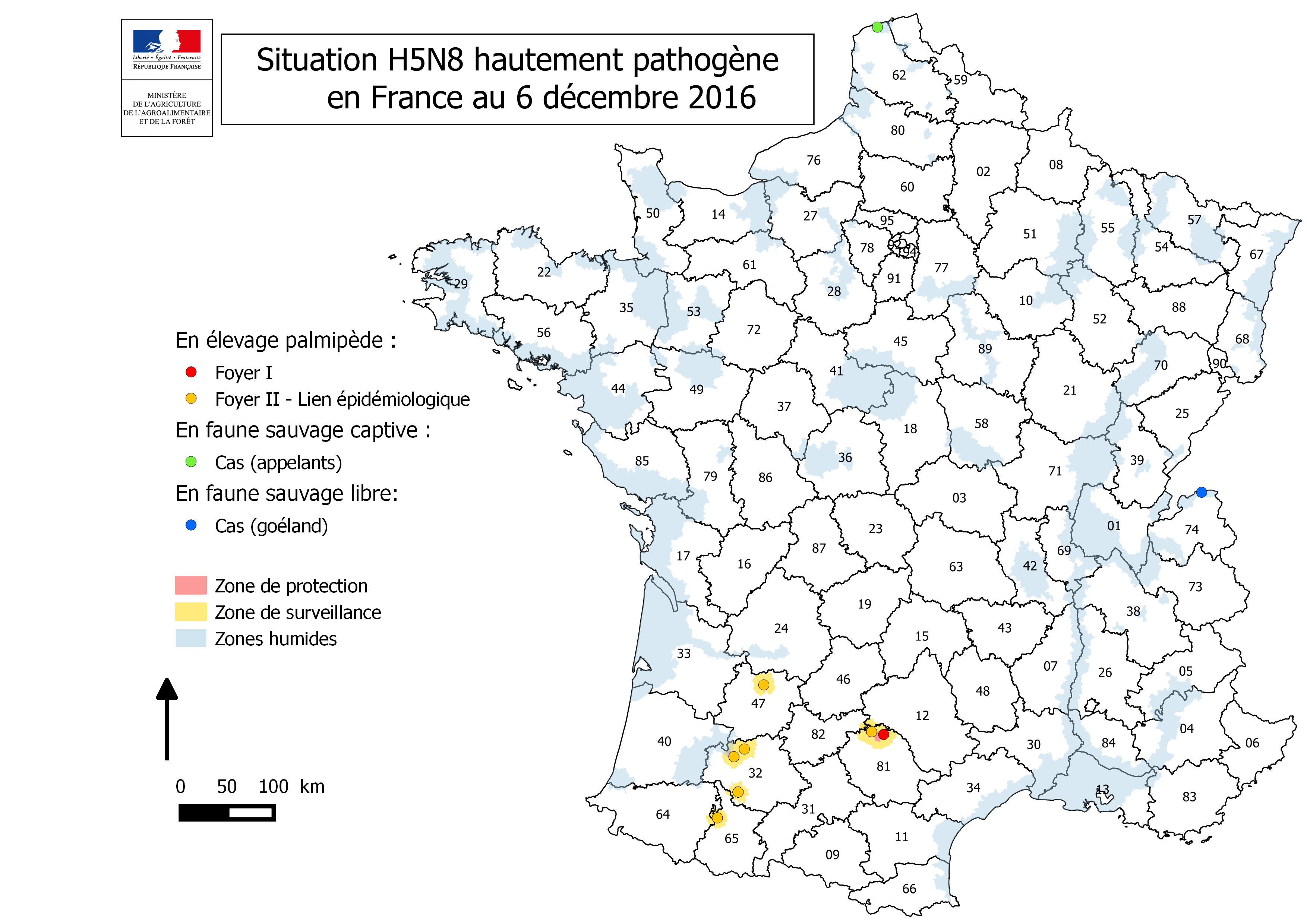 Figure 1 Distribution géographique des cas et foyers primaires et secondaires d'IA H5N8 en France 