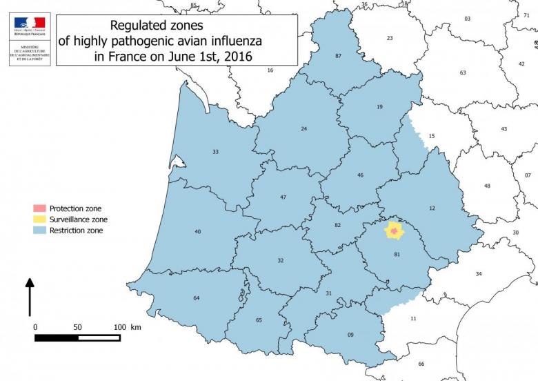 Figure 3 Carte des zones réglementées d'IAHP  en France