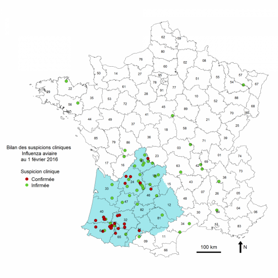 Figure 1 Répartition géographique des suspicions cliniques d'influenza aviaire