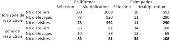 Tableau 1 Nombre de visites programmées dans les élevages de sélection et multiplication en filière Galliformes et Palmipèdes