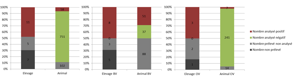 Figure 3 Résultats des analyses en PCR BTV8 des élevages prélevés dans les deux kilomètres du premier foyer de FCO détecté dans l'Allier 
