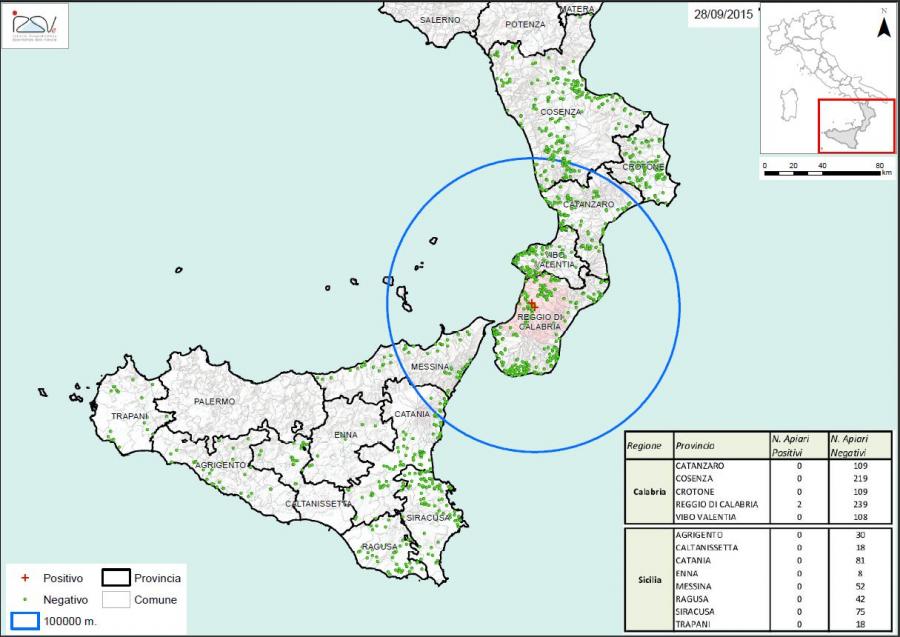 Carte 3  Zones de surveillance d'A. tumida en Italie (28/09/2015)