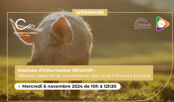 webinaire résavip