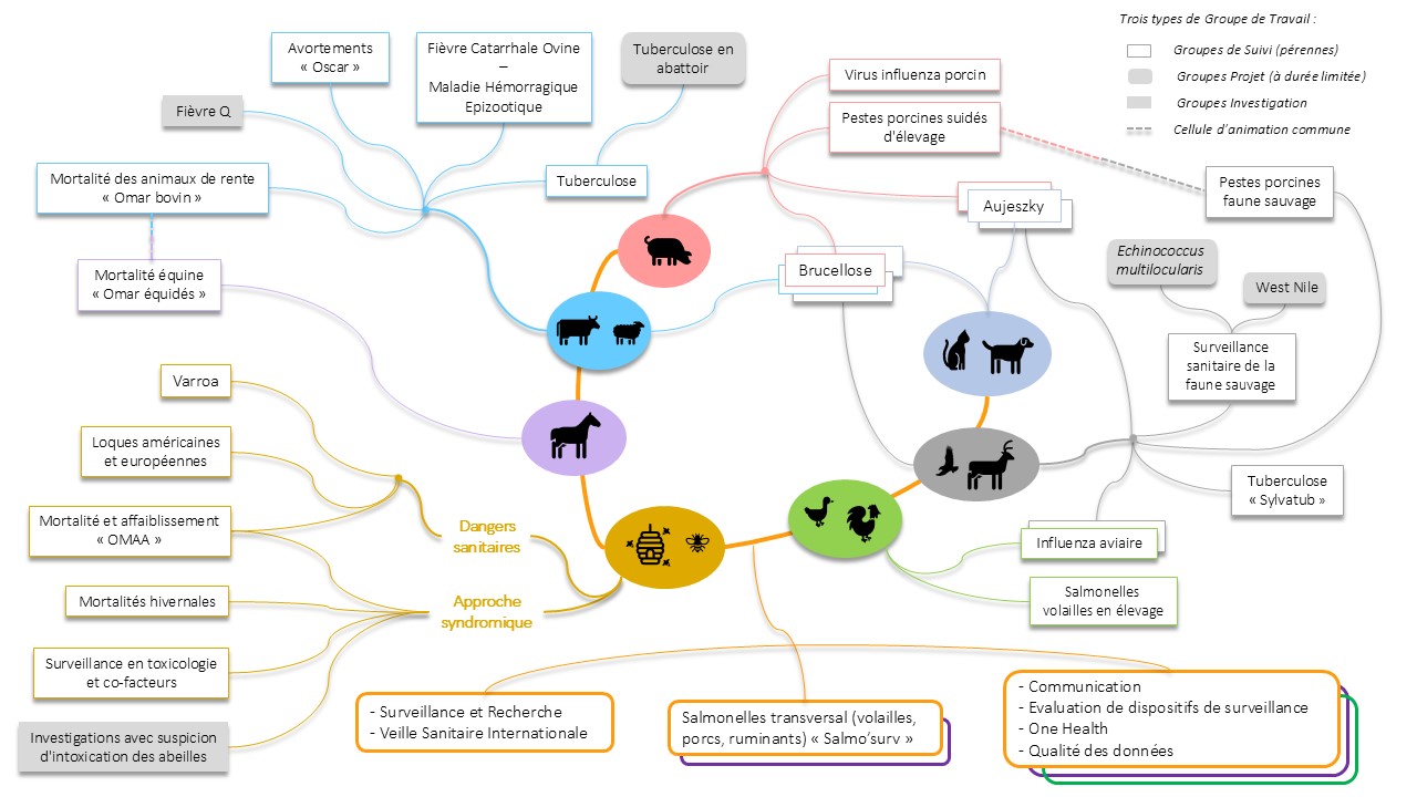 schema_gt_detail_11_2024