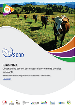bilan_2024