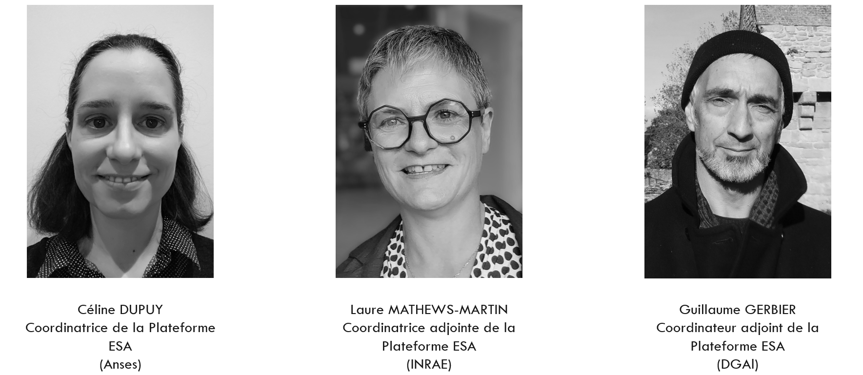  Nom photo_coordination_pesa