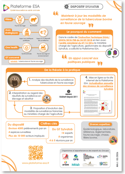 fiche_succes_story_sylvatub