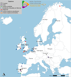 map4