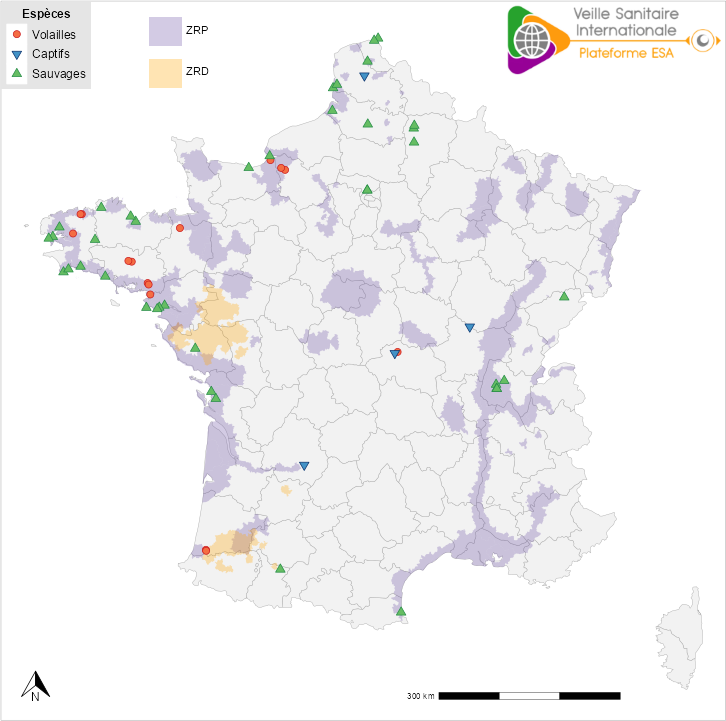 iahp_france