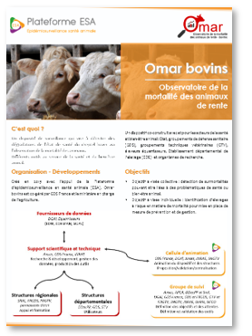 flyer_omar