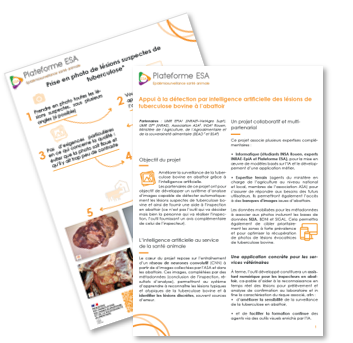 article_pour_projet_lesion_tub_abattoir
