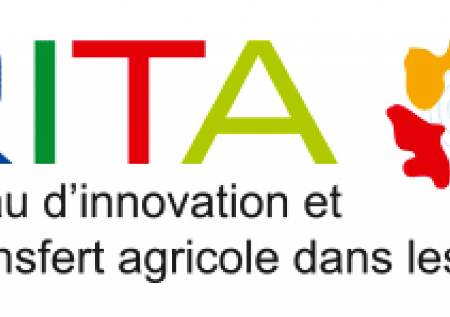 Rita logo