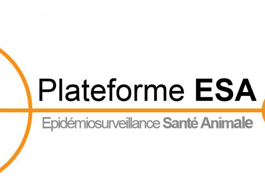 Logo Plateforme ESA