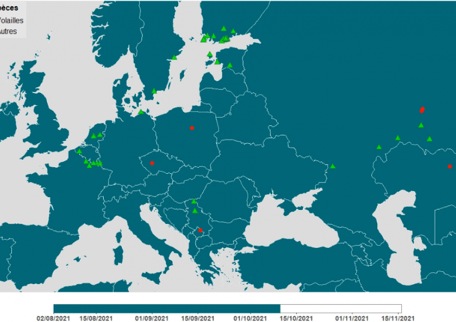 Diffusion de l'influenza aviaire en Europe
