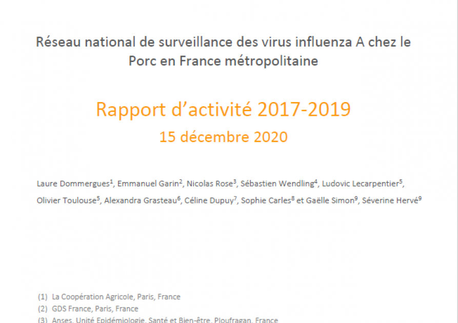 Rapport d'activité 2017 - 2019 RESAVIP