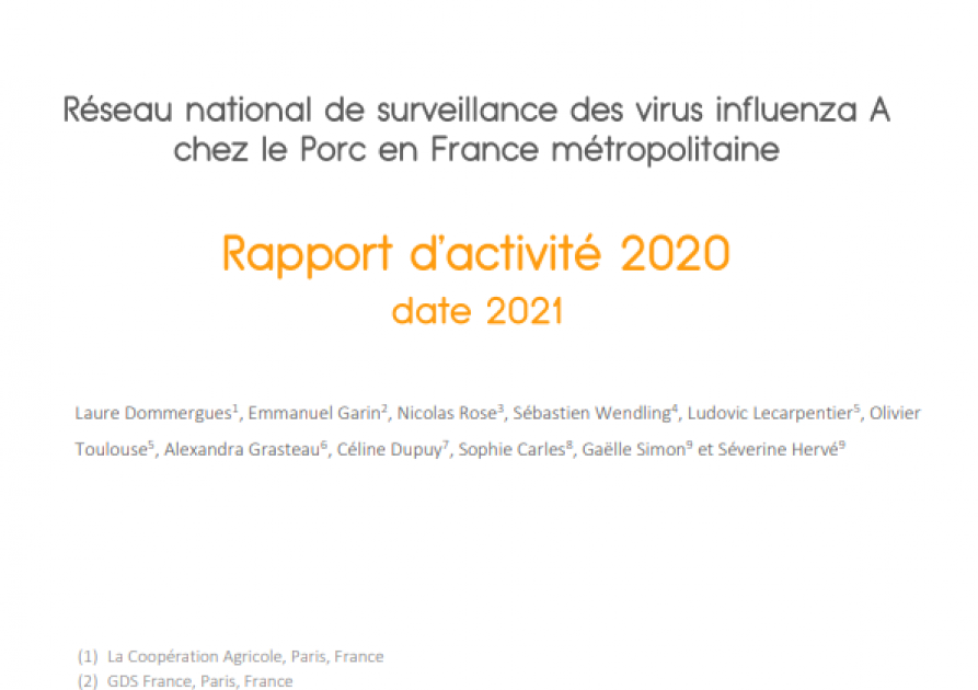 Rapport d'activité 2020 RESAVIP