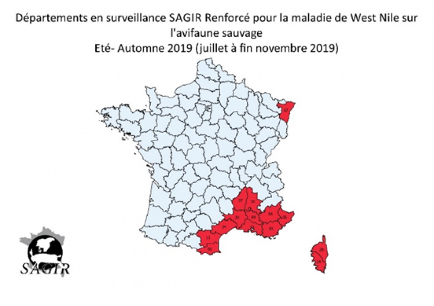 Carte départements en surveillance sagir 2019