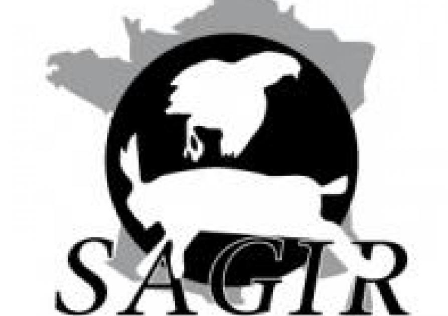 logo SAGIR